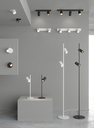Gina 3 Ceiling Lamp