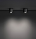 Clic Top Outdoor Ceiling Light