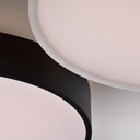 Roma Ceiling and Wall Light