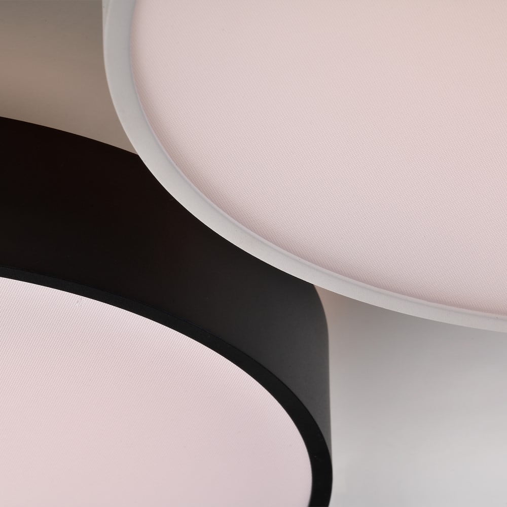 Roma Ceiling and Wall Light