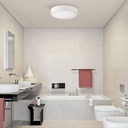 Dins LED Ceiling Light