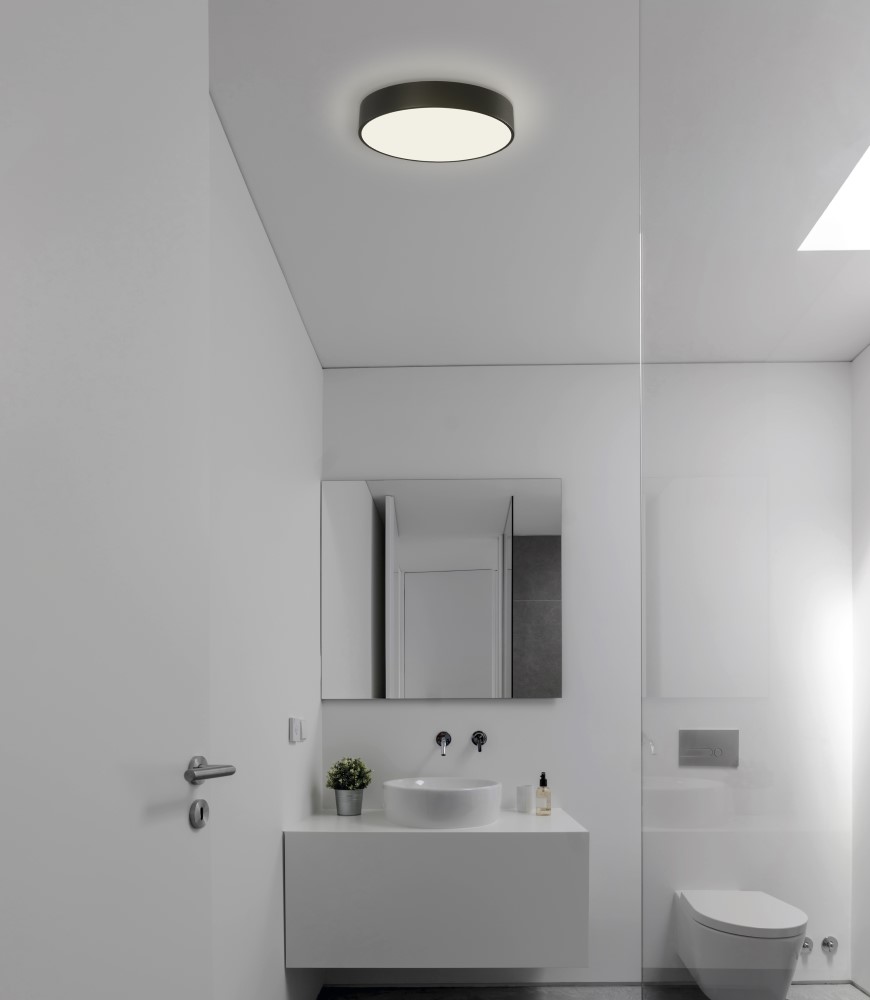 Dins LED Ceiling Light