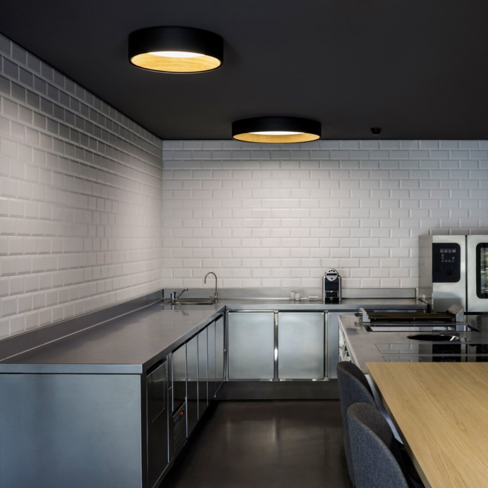 Duo 4872 Ceiling Light