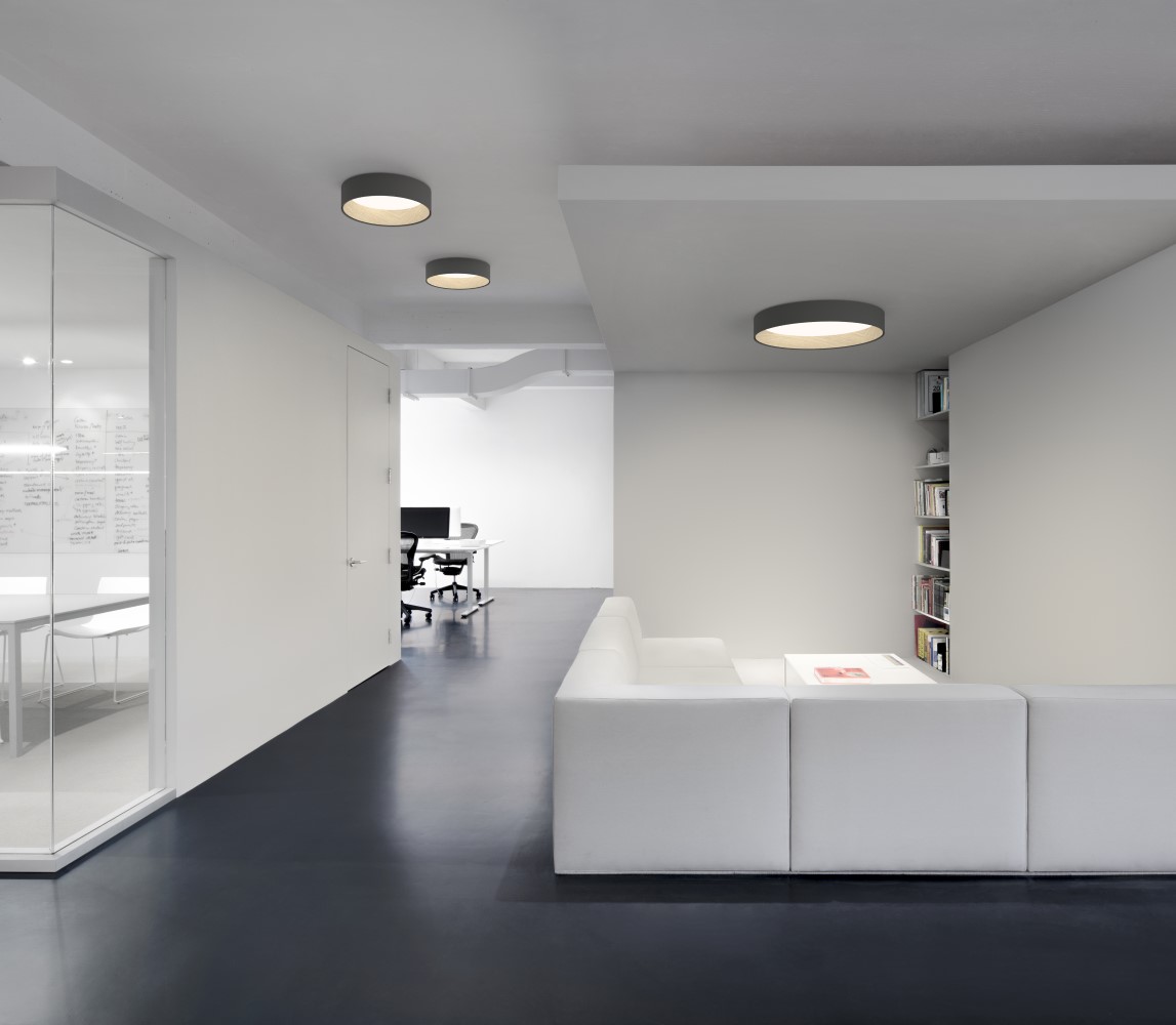 Duo 4872 Ceiling Light