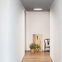 Ray Ceiling Light