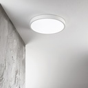 Ray Ceiling Light