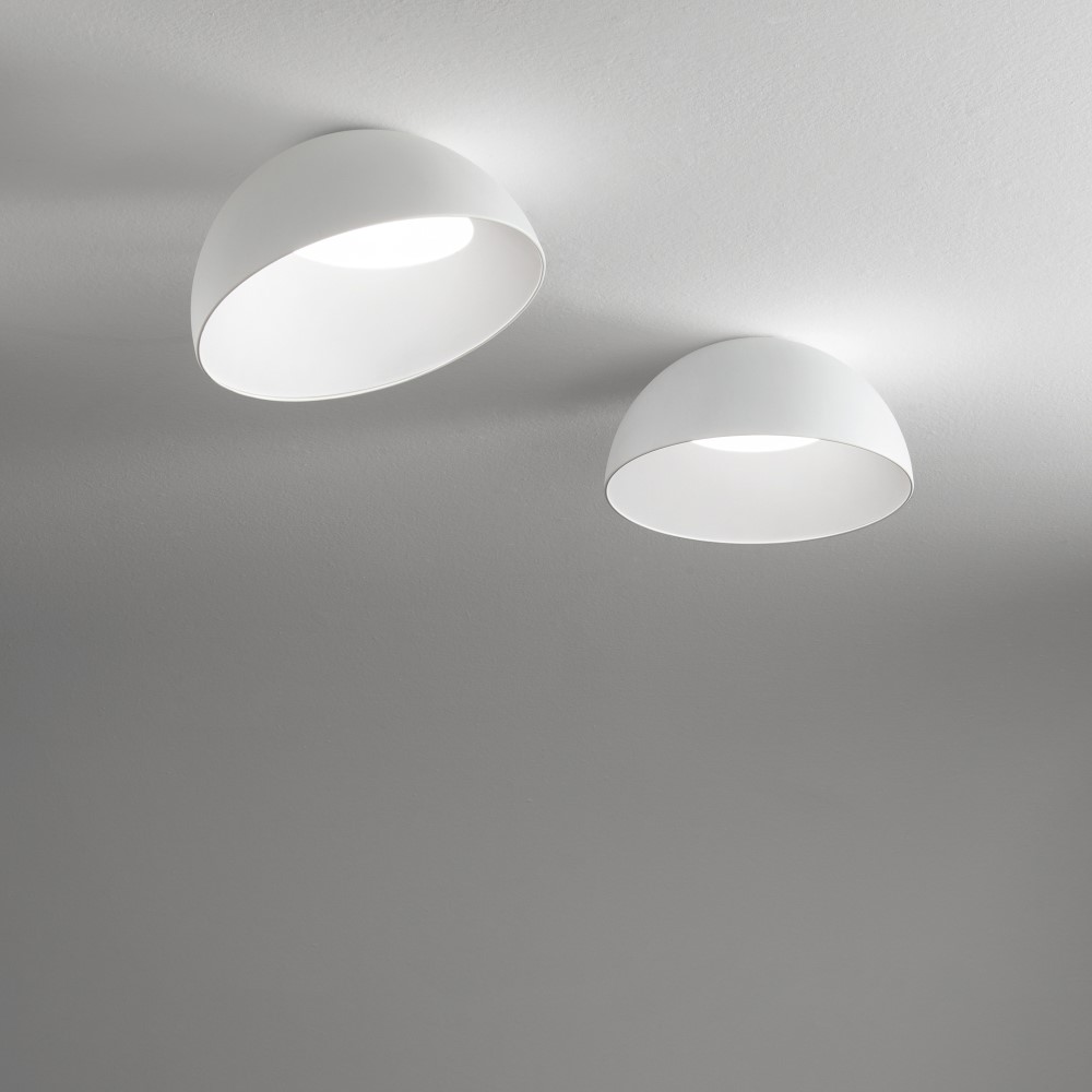Corolla Ceiling Light