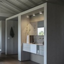 Spike Ceiling Light