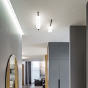 Binomo Ceiling Light