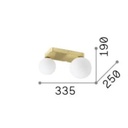 Penta 2 Ceiling and Wall Light