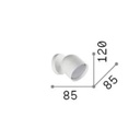 Dodo 1 Wall Light