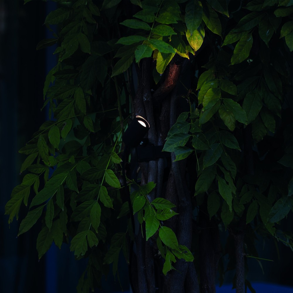 Koala Floodlight