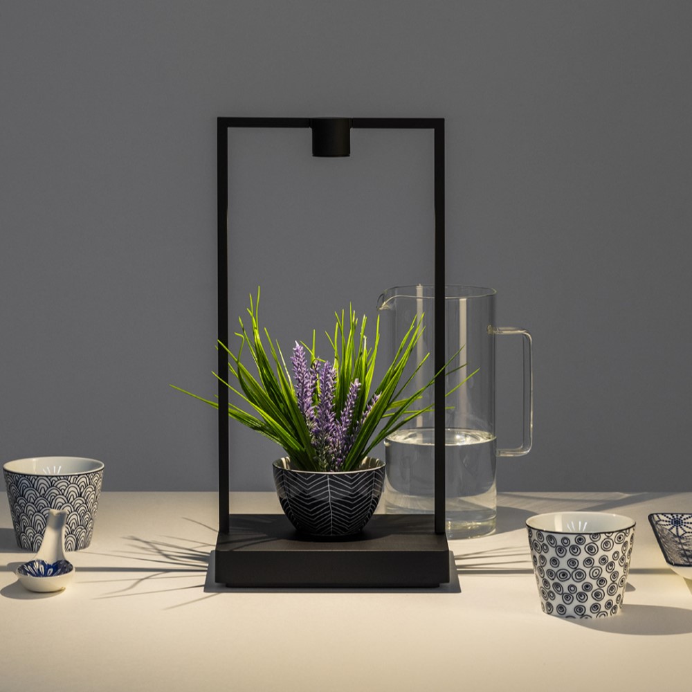 Curiosity Focus Portable Table Lamp