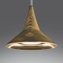 Unterlinden Suspesnion Lamp