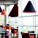 Cone Ceiling and Suspension Lamp