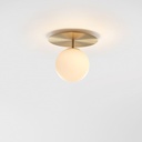 Celeste Ceiling and Wall Light