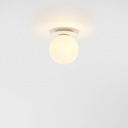Celeste Ceiling and Wall Light
