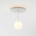 Celeste Ceiling and Wall Light