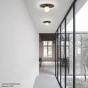 Celeste Ceiling and Wall Light