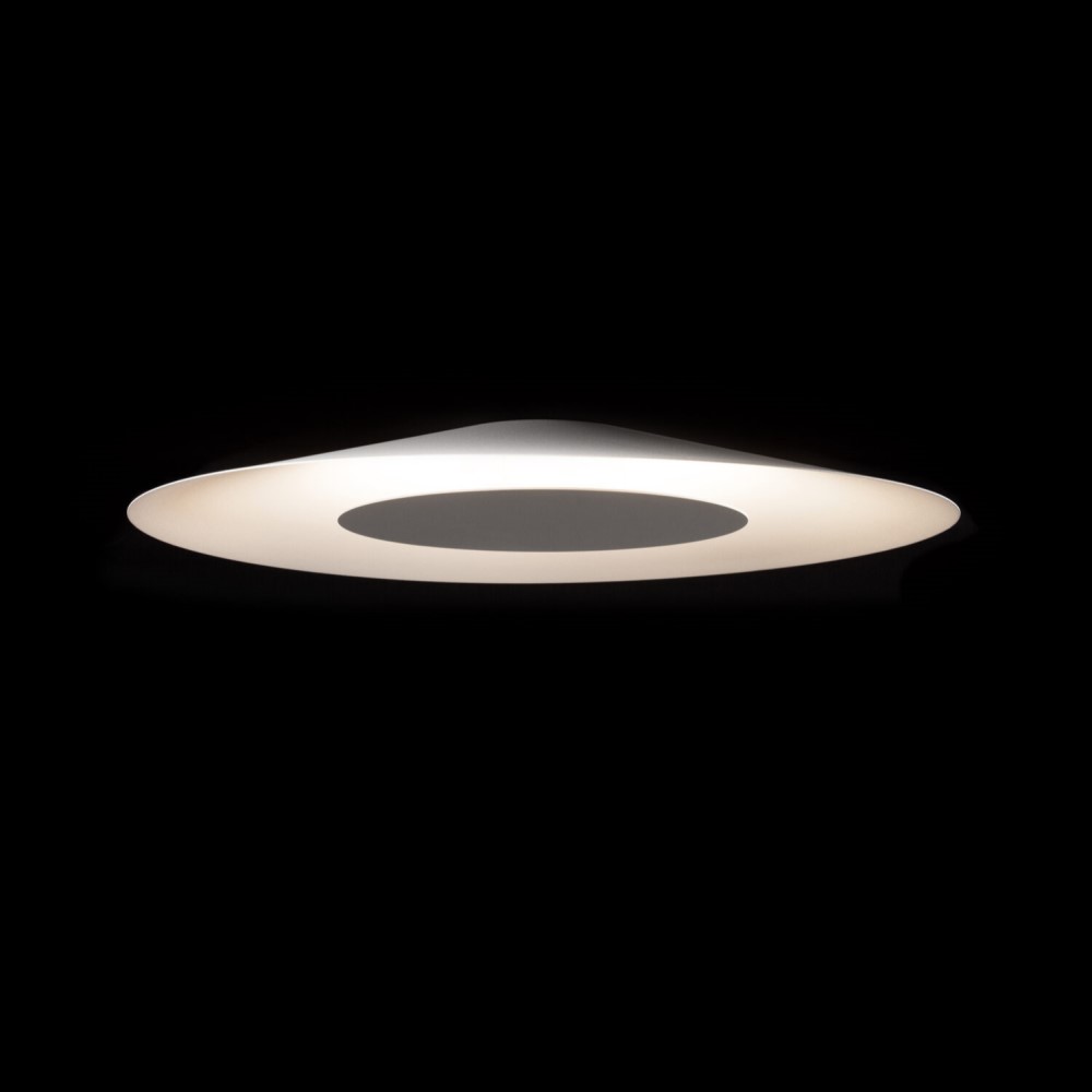 Conical Wall and Ceiling Light
