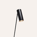 Reach Floor Lamp