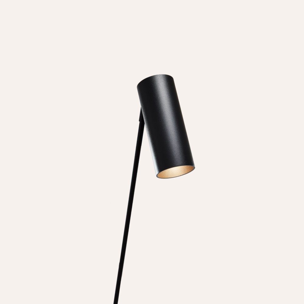 Reach Floor Lamp