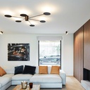 Round Control Ceiling and Wall Light