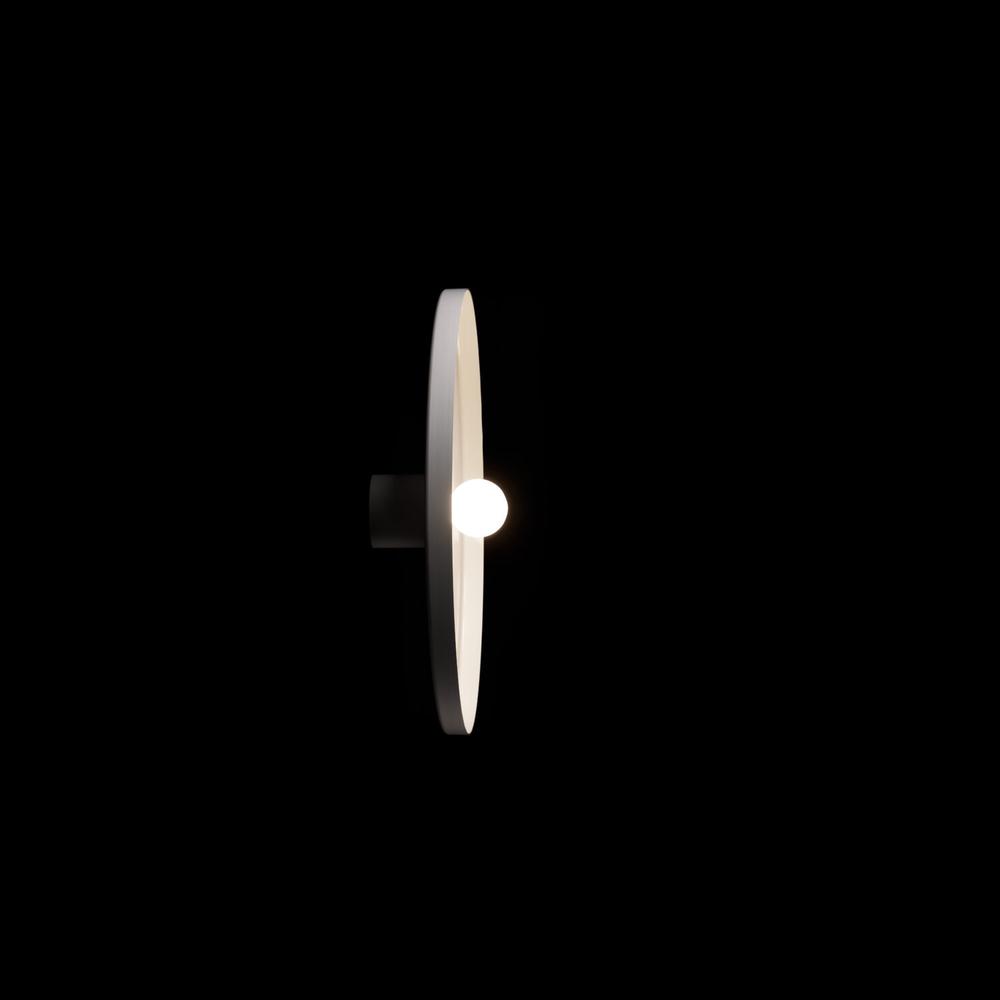 Disk Wall and Ceiling Light