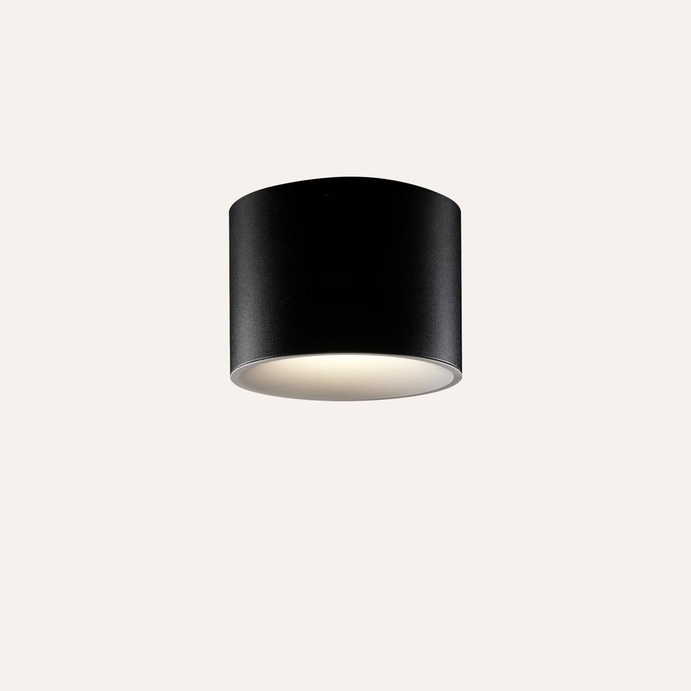 Tuba Ceiling Light