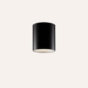 Tuba Ceiling Light