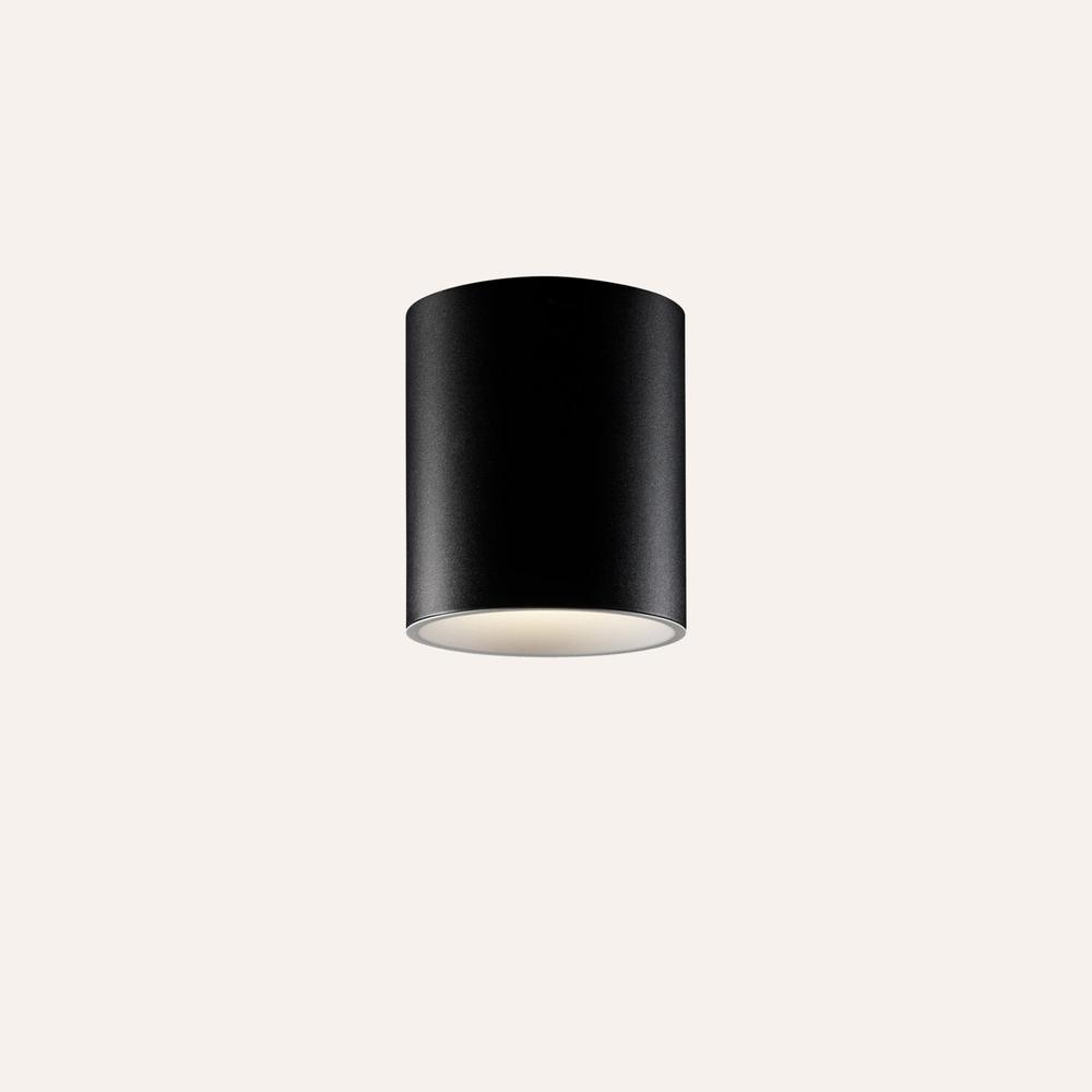 Tuba Ceiling Light