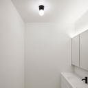 Bullet Ceiling Light