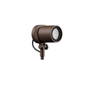 Focus Floodlight