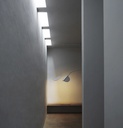 Almendra Organic Suspension Lamp