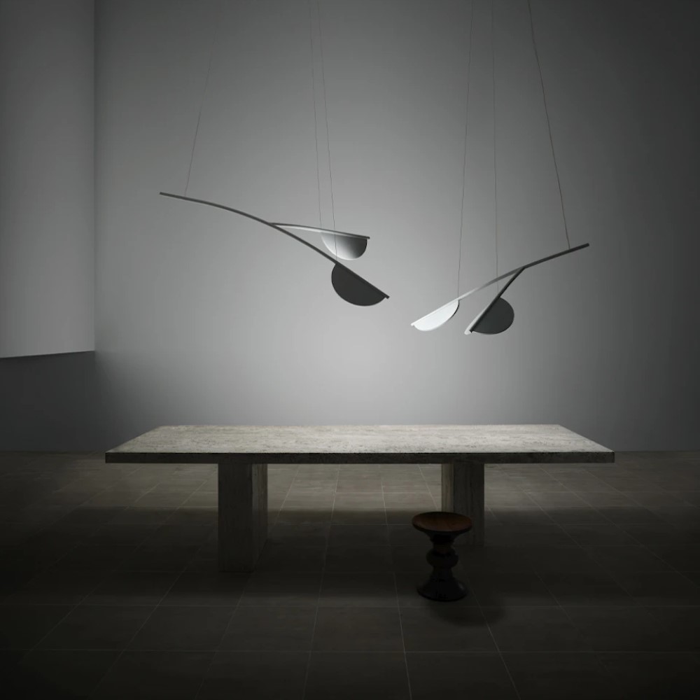 Almendra Organic Suspension Lamp