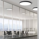 London Ceiling Light