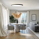 London Ceiling Light