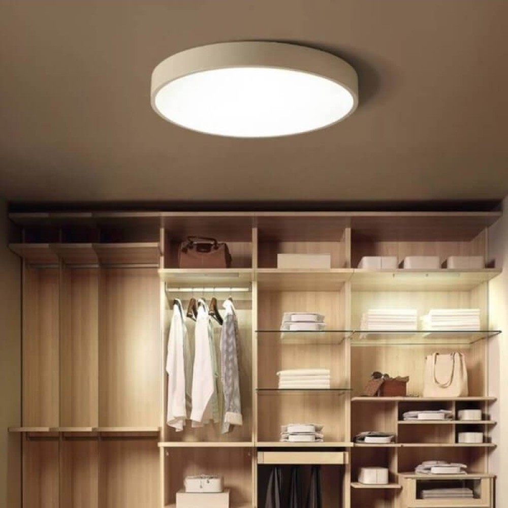 Isia Standard Ceiling Light