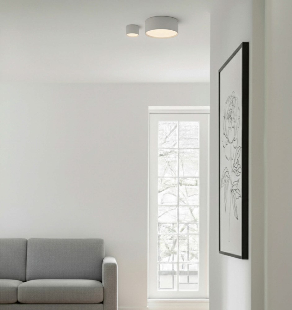 Alis Ceiling and Wall Light