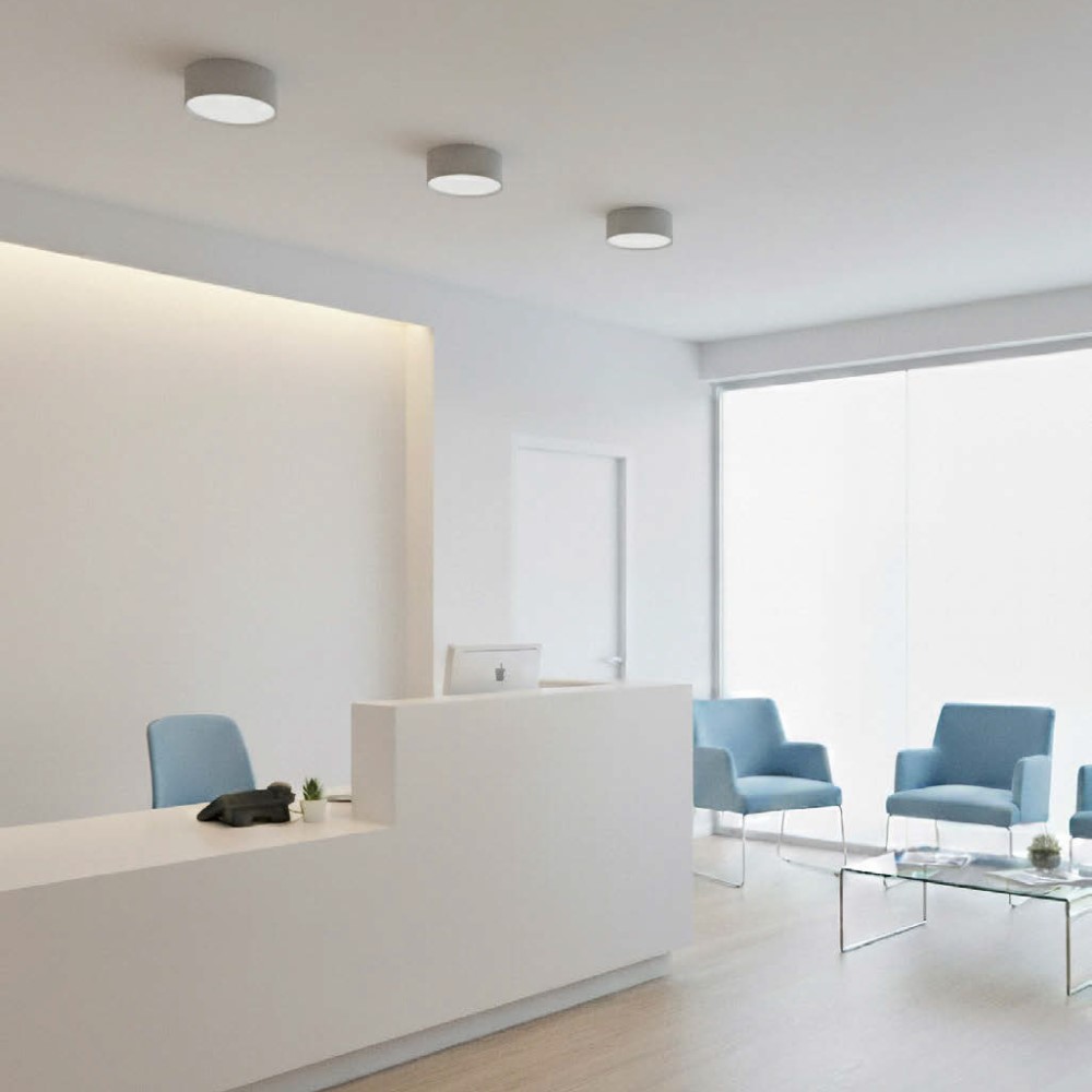 Alis Ceiling and Wall Light