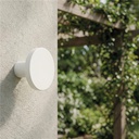 Corvus Wall Light