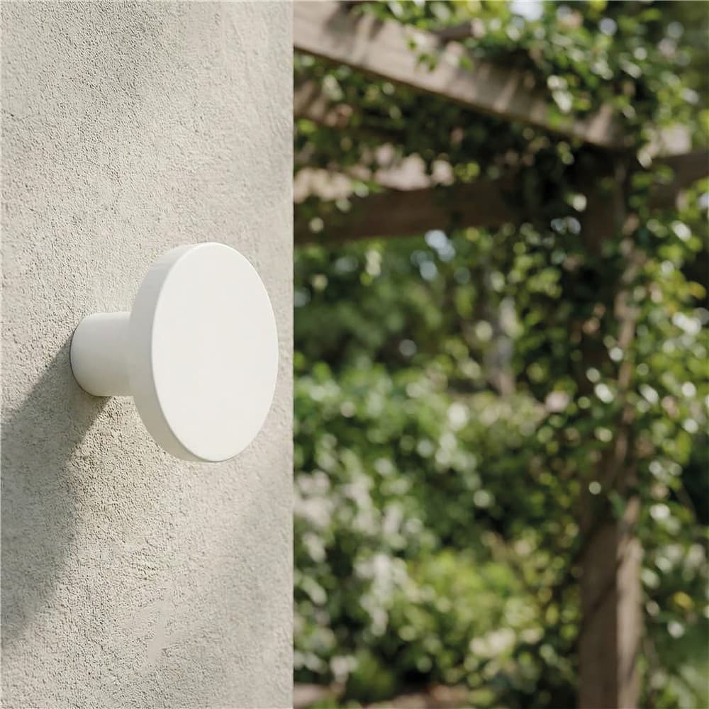 Corvus Wall Light