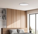 Koe Ceiling Light