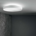 Fly Ceiling Light