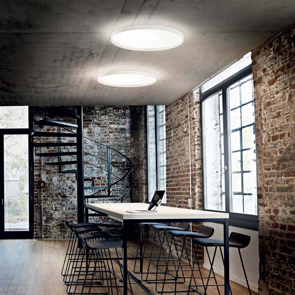 Fly Ceiling Light