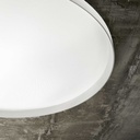 Fly Ceiling Light