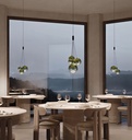 Random Suspension Lamp