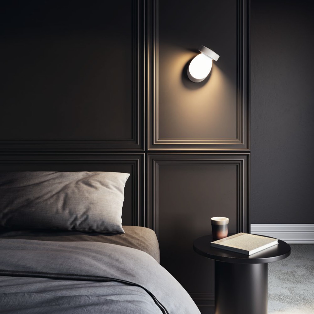 Pin-Up Wall and Ceiling Light