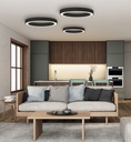 Aliso Ceiling Light