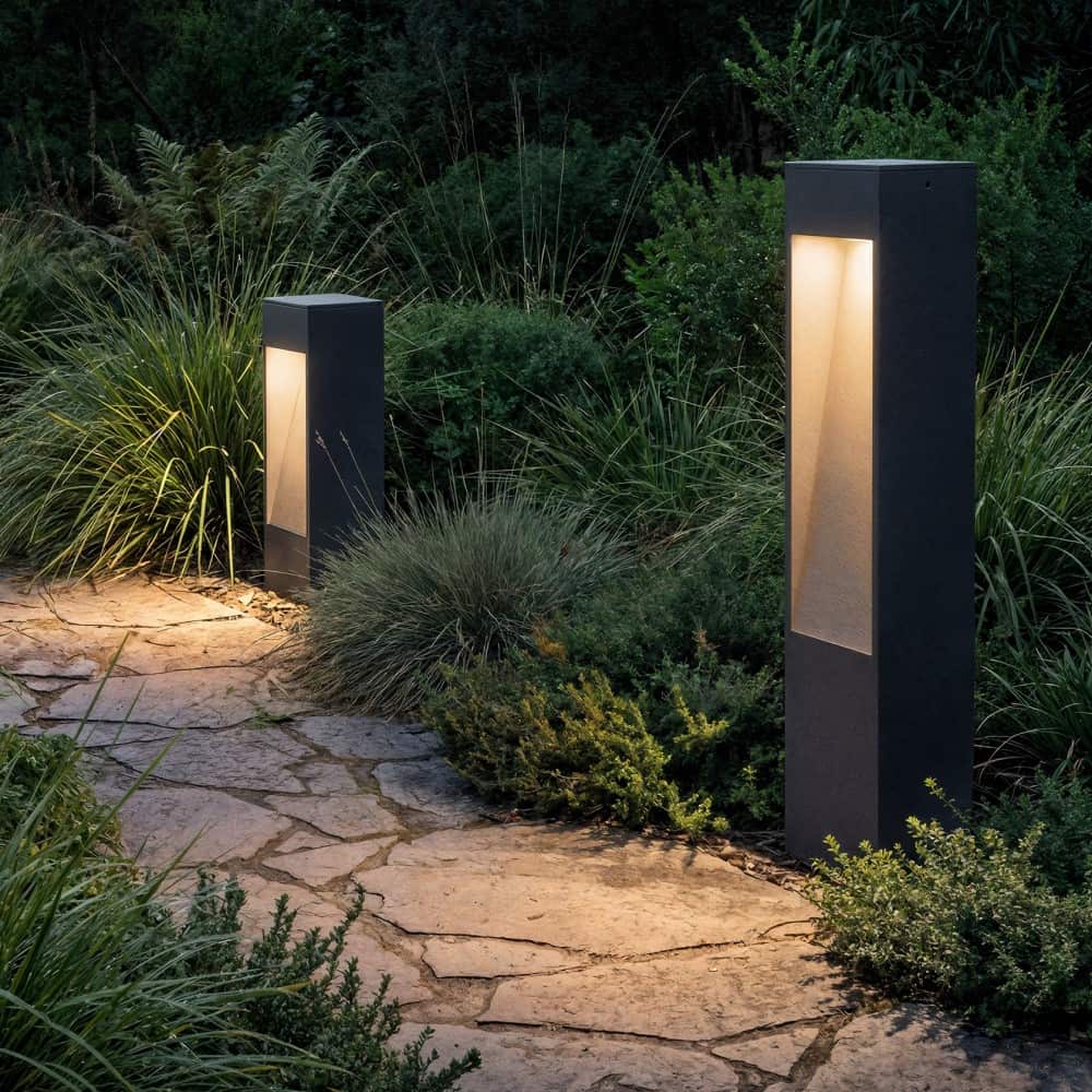 Nyra Bollard